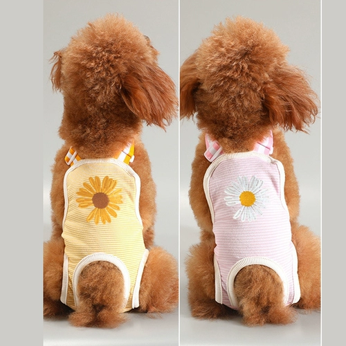 Собачья физиологические штаны Женщина собаки менструальные штаны Тедди Баргей маленькая сучка брюки санитарные брюки брюки.