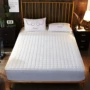 Giường bông Khăn trải giường bằng vải bông một mảnh Simmons bảo vệ chống trượt Vỏ nệm gạo 1,8m Mua ga phủ giường