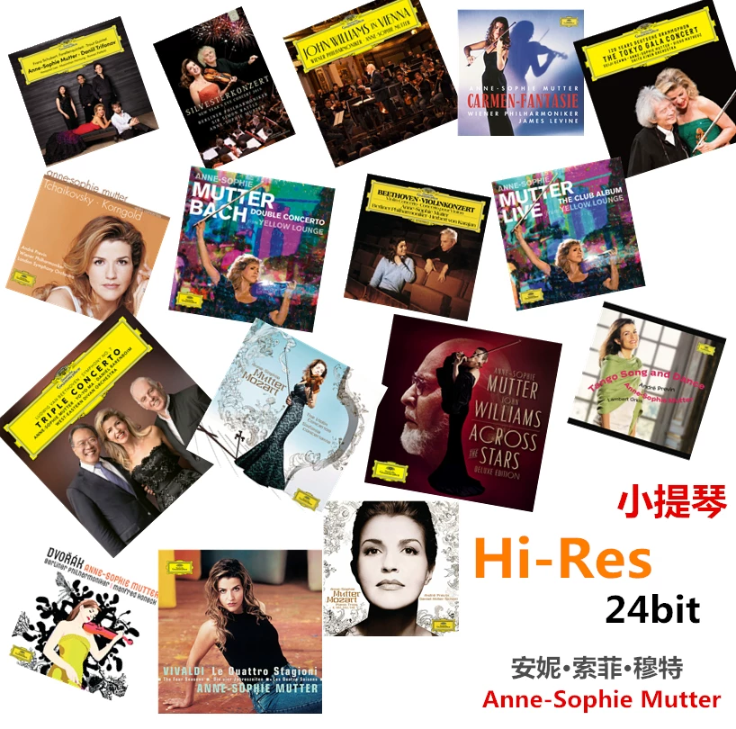 Анна-Софи Мюттер без повреждений источник звука Hi-ResSD J599