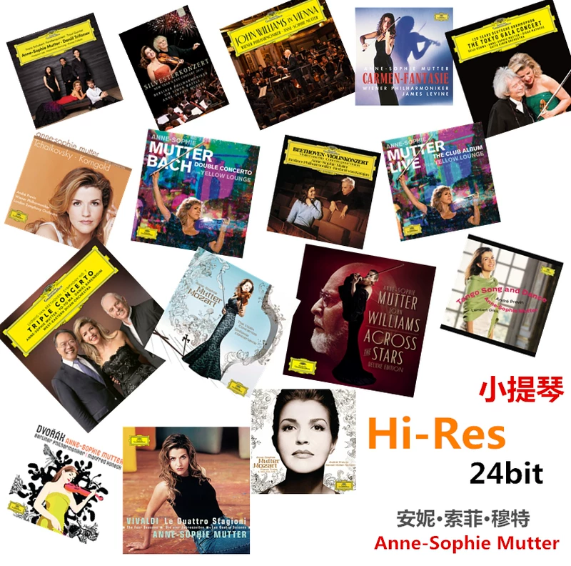 Анна-Софи Мюттер без повреждений источник звука Hi-ResSD J599