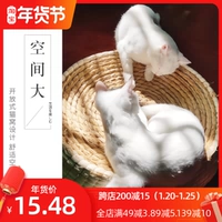 Маленькая Catowow Cat Cath Gress Delivery и Catal Catal Gest Toys Toys Bowl Cat Cat Cat Cat Cat
