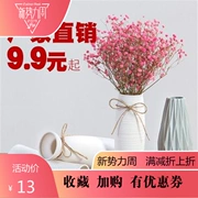 Trang trí bình hoa gốm sứ IKEA trang trí phòng khách Màu trắng sứ khô hoa cắm hoa sáng tạo hoa gốm đơn giản hiện đại - Vase / Bồn hoa & Kệ