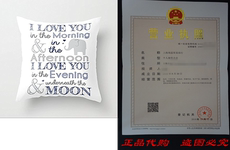 Форма для гандбола decorative pillow case