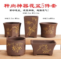 5 кусочков мясного артефакта цветочный горшок