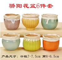 Горшок для подсолнечника, набор из 6 предметов.