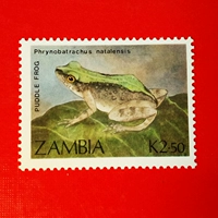 Иностранный штамп 673, Zambia Amphibians, Animal лягушка Bullfrogs Новый оригинальный подлинный подлинный