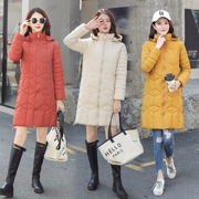 Áo cotton mùa đông 袄 nữ 2018 mới size lớn phiên bản Hàn Quốc có phần dài buông lơi của áo độn cotton cho học sinh - Bông