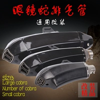 Phụ kiện sửa đổi xe máy Ji Cun Huang Long 600 rắn hổ mang nhiệt độ cao gấp đôi hàng ống xả bọ cạp - Ống xả xe máy pô xe sirius