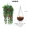 Mô phỏng cây địa lan chậu nhựa hoa mây treo tường hoa giả nho lá giả xanh lá cây trần trang trí treo - Hoa nhân tạo / Cây / Trái cây