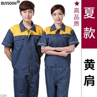 Цвет лотоса