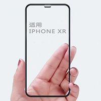 Apple XR Full HD Anty -FingerPrint 2 таблетки