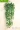 Treo tường hoa nhân tạo phòng khách ban công trang trí nội thất trang nhã cây xanh nhựa cây lá treo hoa giả mây - Hoa nhân tạo / Cây / Trái cây cây xương rồng giả