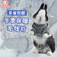 Удерживающий тепло кролик, одежда, зимняя демисезонная толстовка, домашний питомец