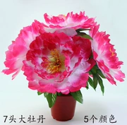 Hoa nhân tạo 7 bông hoa mẫu đơn Lễ hội hoa Ming Ming - Hoa nhân tạo / Cây / Trái cây