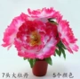 Hoa nhân tạo 7 bông hoa mẫu đơn Lễ hội hoa Ming Ming - Hoa nhân tạo / Cây / Trái cây hoa giả cao cấp