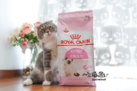 House Cat Sauce Royal Canin Royal Cat Food 4 ~ 12 tháng Thức ăn cho mèo trẻ K36 Thức ăn chính cho mèo 2kg thức ăn ướt cho mèo