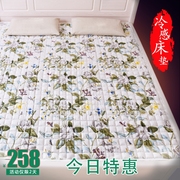 Kiều mạch da bánh bao kiều mạch nệm đôi 1,8 m giường người lớn sức khỏe gấp giường, chống decubitus kiều mạch vỏ pad