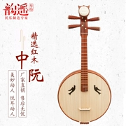 Nhà máy Yunyao trực tiếp gỗ hồng sắc gỗ hồng sắc kích thước màu tím instrument nhạc cụ để gửi phụ kiện hộp mới bắt đầu - Nhạc cụ dân tộc