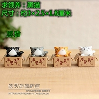 Черная кошка для усыновления 1