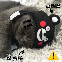 Держатель министра Кумамото Куми