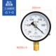 đồng hồ điều chỉnh áp suất khí Relda Y100 thông thường đồng hồ đo áp suất chân không âm đồng hồ đo áp suất loại con trỏ 0-1.6mpa dầu khí áp suất nước máy nén khí đồng hồ đo đồng hồ hơi khí nén đồng hồ áp suất 3 kim