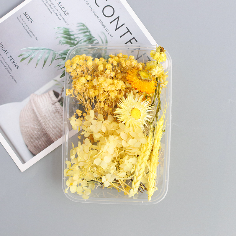 Maimang / Dried Flower Boxbeautiful Mu son Mixed pack diy Hand made decorate Immortal flower Dried flower Set meal Material Science diy Photo frame Flower wood Embossed bag