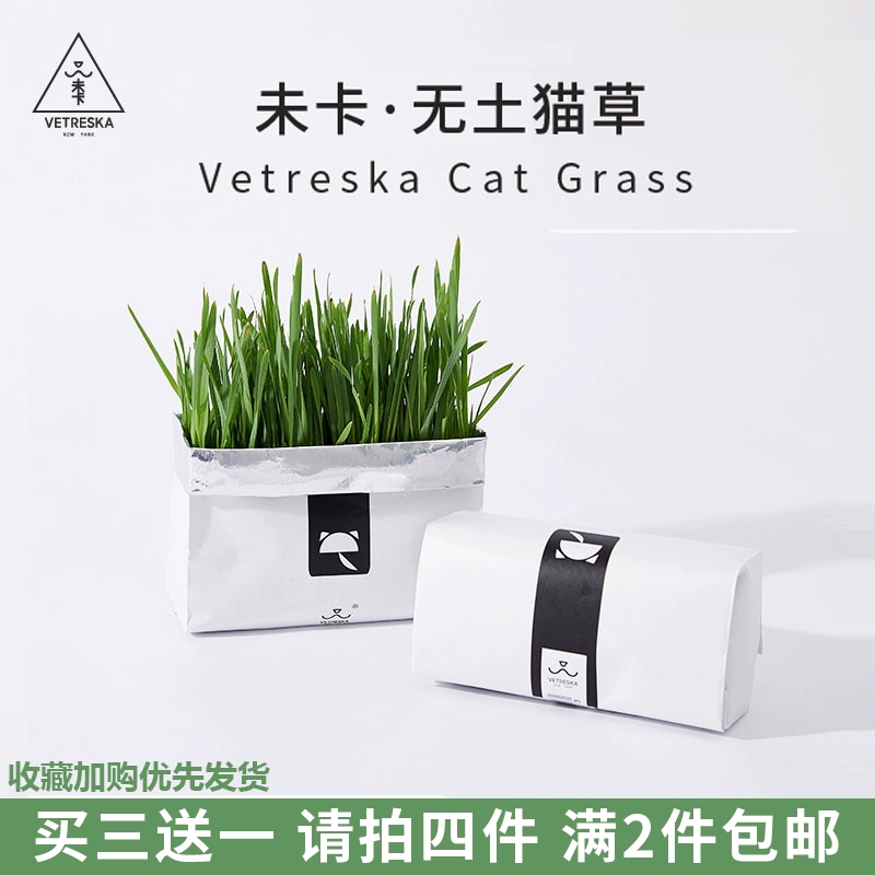 Lười mèo hạt giống trong chậu trồng trọt thủy canh phù hợp với lúa mì - Đồ ăn nhẹ cho mèo