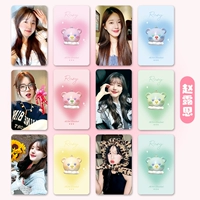 6 Медведя -авантюристы