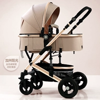 Калифорнийская солнечная резина с четырьмя колесами (местная золотая трубка)