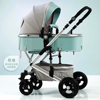 Lotus Green четырех -резиновая резина (серебряная алюминиевая труба)