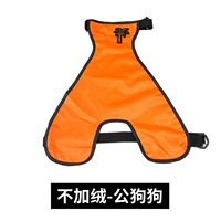 Апельсиновая мужская собака