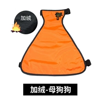 Оранжевая сучка плюс бархат