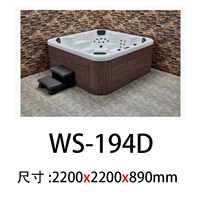 WS-194D 2200x2200x890mm