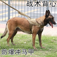 Тактический жилет с собачьем жилетом Тущика для собаки для сундука ремешок в середине лунки K9 Золотые волосы немецкая собака для собак