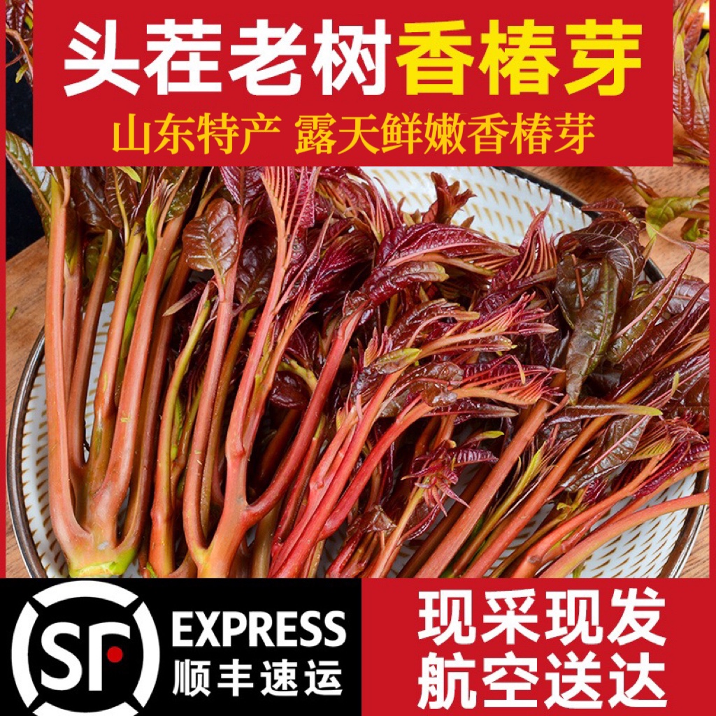 香椿拌饭|冬藏|知养录|Enaiter伊莱特官网-中国食养电器