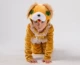 Trang phục động vật trẻ em gà con vịt con khỉ con khỉ con gấu trúc con chó con mèo con mèo nhỏ trang phục - Trang phục