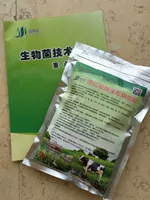 Ферментационная кровать