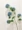 hoa giả lộc mai Cực dài 5 đầu hoa cẩm tú cầu mô phỏng hoa cẩm tú cầu cưới hoa cẩm tú cầu mô phỏng hoa cẩm tú cầu lớn cầm tay bó hoa cưới hoa hành tây hoa baby giả cây cảnh giả trang trí phòng khách
