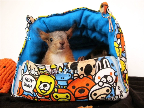 Продукты белки, мой сосед Totoro Squirrels Parrot Products Four Seasons General Midmoring Nest, лето, осень и зима Общая площадка