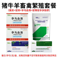 Беременные лошади 2+ Продвигающий гласный+фронт хлора+Любовный порошок