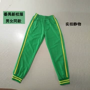 Panyu Học đồng phục quần tây phụ huynh tùy chỉnh màu xanh lá cây một thanh cotton đồng phục học sinh đồng phục học sinh mới