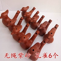 6 -rope 6 фиолетовых песчаных павлинов