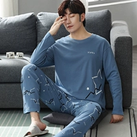 W3721 Peacock Blue Star Pure Cotton-Up Blous