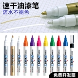 Японская зебра, кисть, ноутбук, белая цифровая ручка, шины