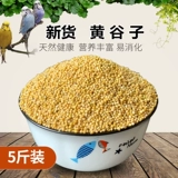 Принесение Xiaomi/Tiger Peony Xuanfeng/Bird/Parrot Bird Eat Huangguzi/Bird Food Feed 1 кусок бесплатной доставки