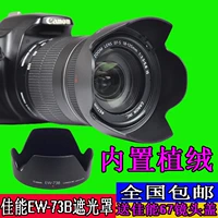 Canon, камера, объектив, D70, D80, D7, D800, 67мм