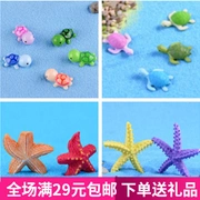 Mini Rùa Starfish Bể cá Thủy cung Cảnh quan Micro Cảnh trang trí Eco Chai tự làm Vật liệu trang trí Hoa chậu Phụ kiện - Trang trí nội thất