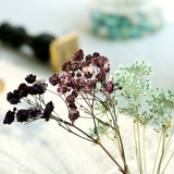 Огненная лакер Уплотнение конверт декоративный цветок маленький свежий приглашение писать цветочная сумка DIY Приглашение уплотнение декоративное цветок