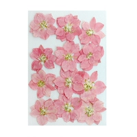 12 цветов легкого порошка летающие ласточки