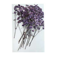 Purple Starry Sky 12 ветвей длиной 4-9 см